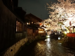 祇園白川ライトアップ