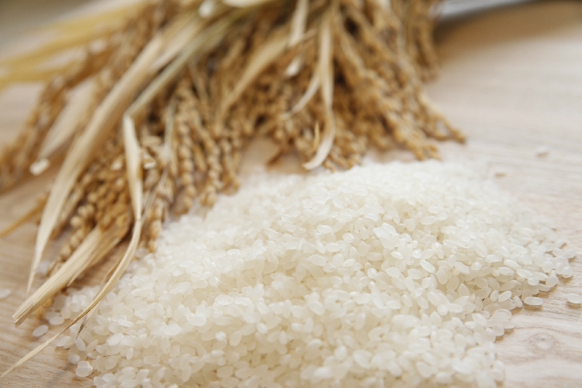 米と稲